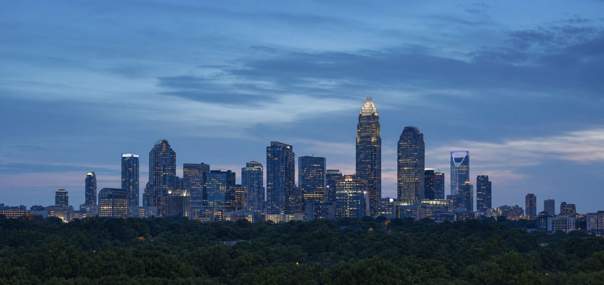 Charlotte, North Carolina skyline at dusk seen across tree canopy